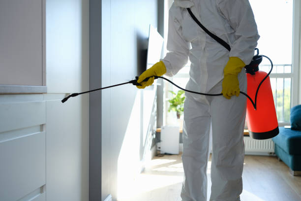 Asbestos and Lead Testing During Mold Inspection